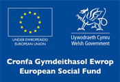 European Social Fund logo