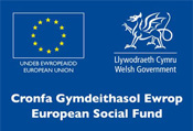 Logo Cronfa Gymdeithasol Ewrop