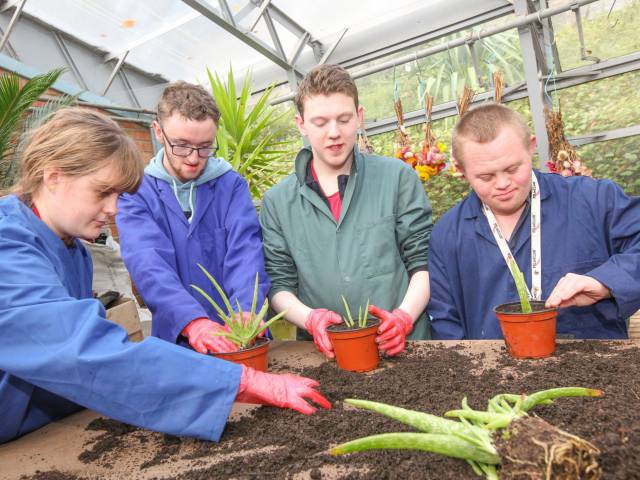 ILS learners Dolgellau