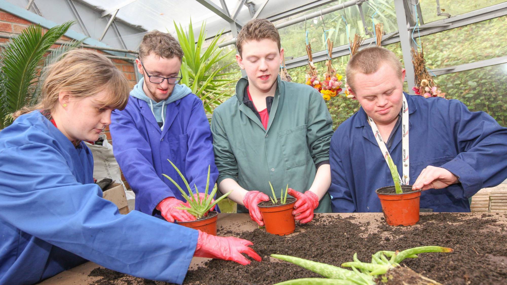 ILS learners Dolgellau