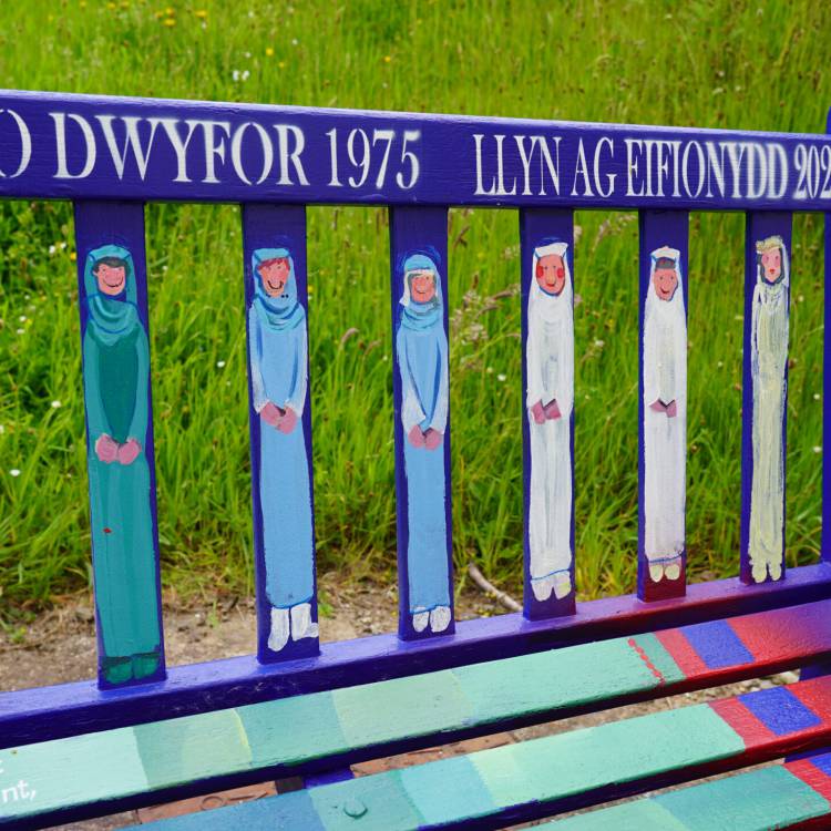 Lluniau o Orsedd y Beirdd ar y fainc gyfeillgarwch