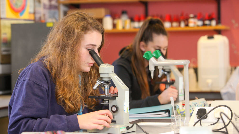 Students using a microscope