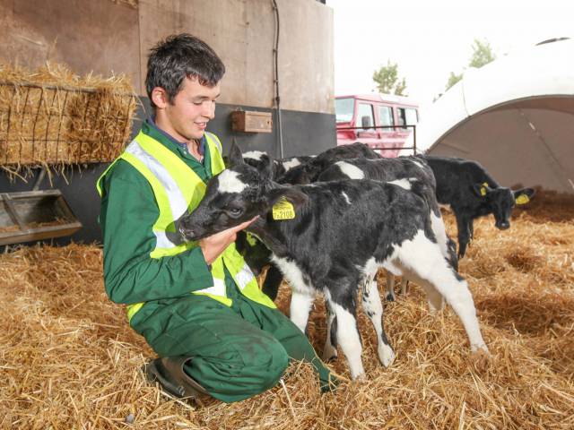 Student working on a farm