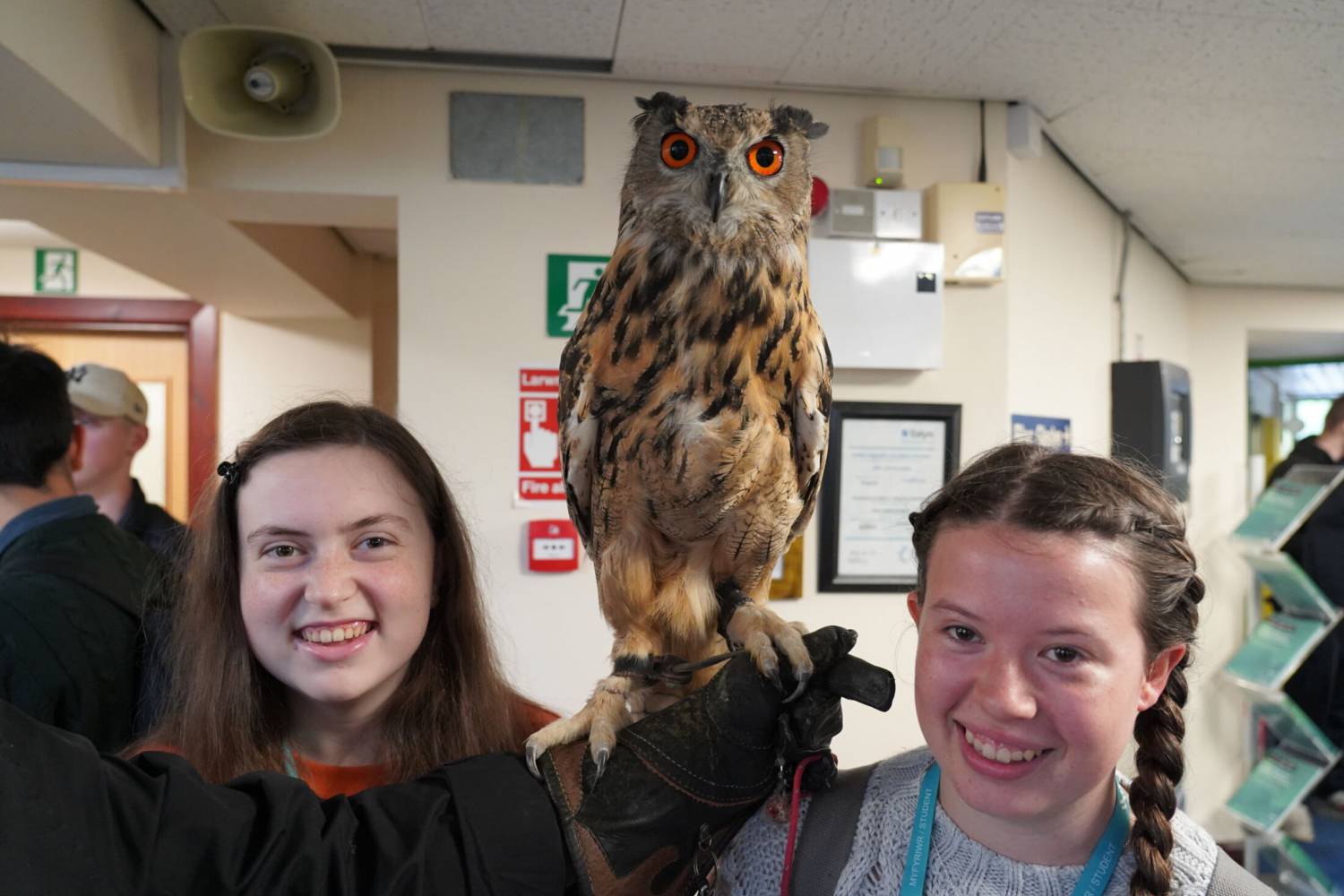 Students with an owl displayed by Hebogiaid Pen-y-Bryn Falconry at Coleg Meirion-Dwyfor’s Pwllheli Freshers Fair