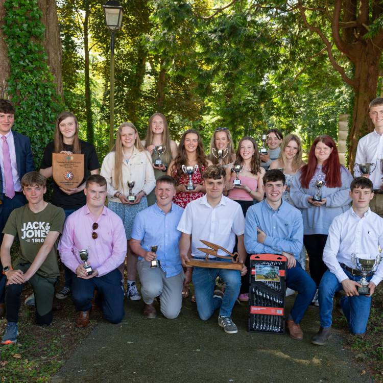 All of the 2024 winners