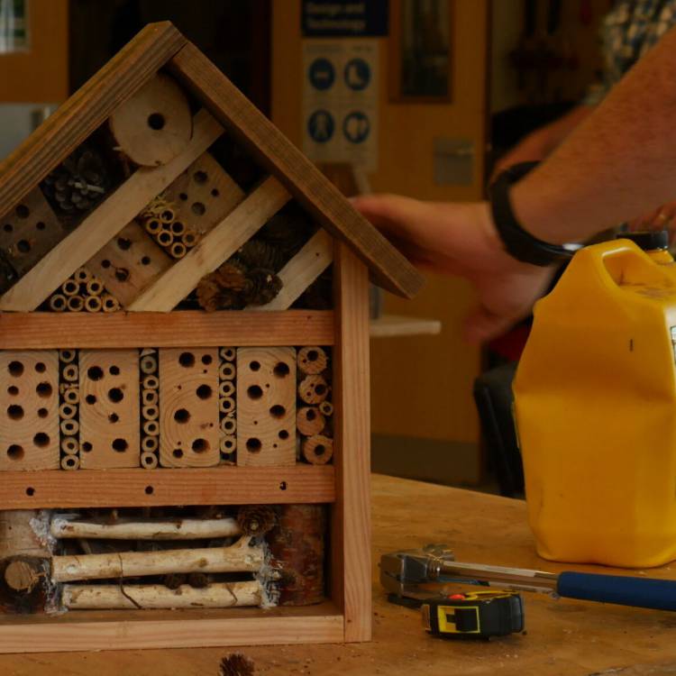 Tŷ chwilod a wnaed gan Paul Jenkinson, dysgwr rhaglen Lluosi, yn ystod cwrs Sgiliau Gwaith Coed a Rhifedd Ymarferol