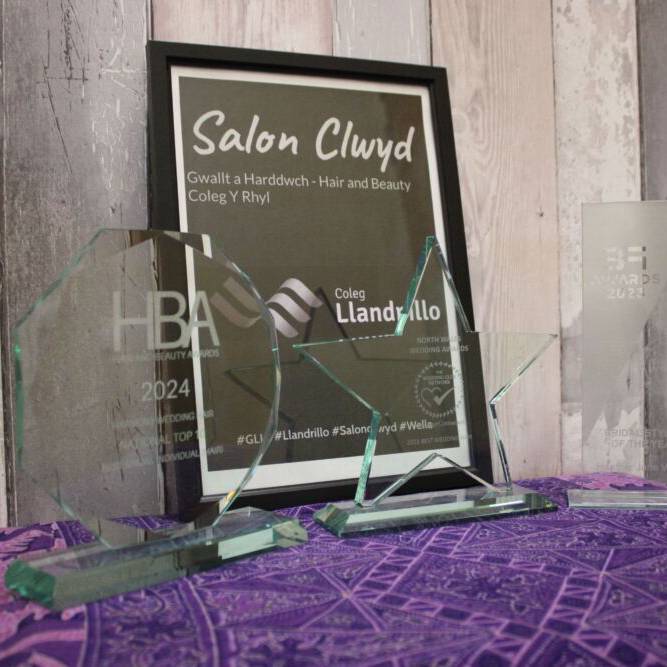 Gwobrau a enillwyd gan Heather Wynne, myfyrwraig trin gwallt o Goleg Llandrillo