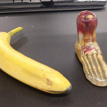 Banana realistig iawn a model o droed dynol a grëwyd gan weithgynhyrchu haen wrth haen