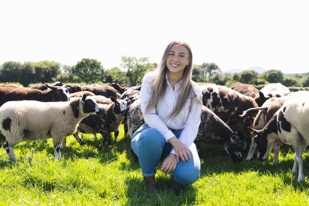 Glynllifon student Lora Jen Pritchard with a flock of sheep