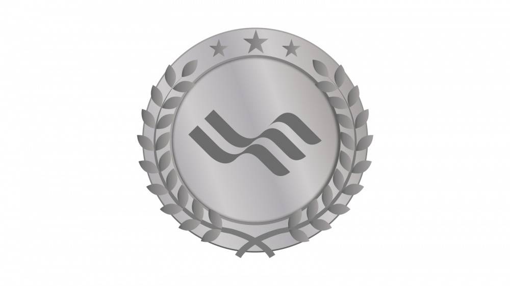 Silver package icon