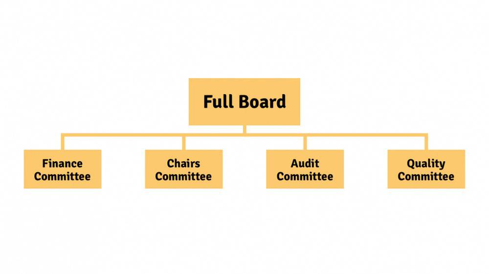 A graphic depicting the Board and the committee structure