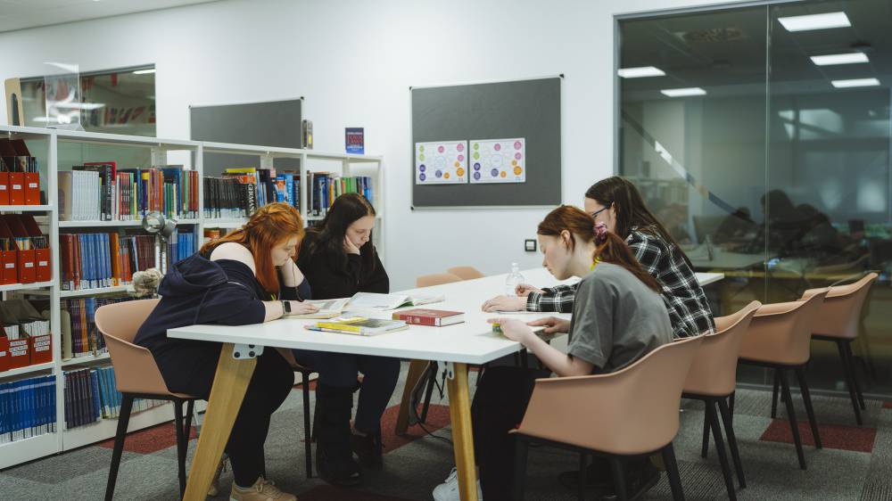Learners working in the library