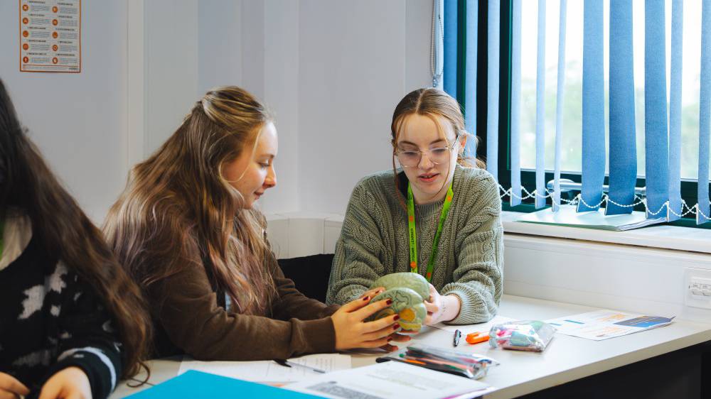 Two students discussing work