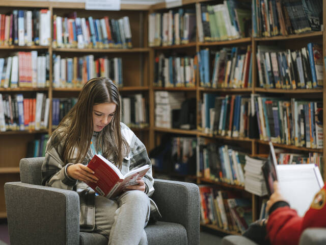 Learner reading in the library