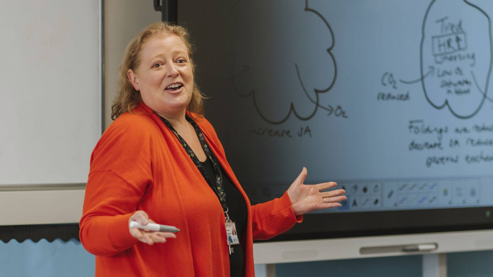 Teacher in a classroom