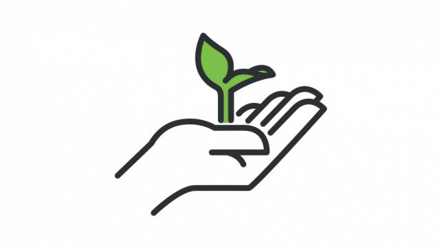 Icon of a plant in a hand